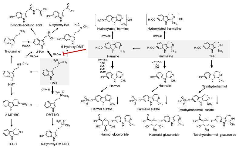 https://cdn.ncbi.nlm.nih.gov/pmc/blobs/ad56/7690791/13c75afb30ad/pharmaceuticals-13-00334-g003.jpg
