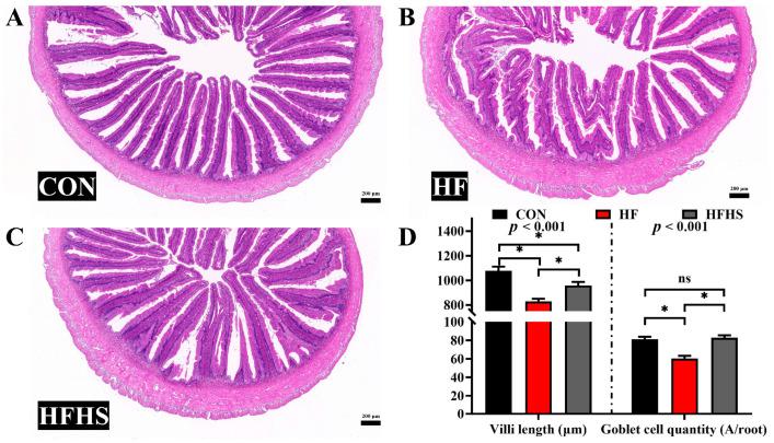 https://cdn.ncbi.nlm.nih.gov/pmc/blobs/ad57/10376639/17d4b273649f/antioxidants-12-01366-g003.jpg