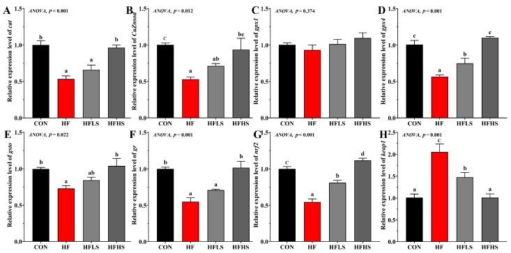 https://cdn.ncbi.nlm.nih.gov/pmc/blobs/ad57/10376639/35d2dc00e1e4/antioxidants-12-01366-g002.jpg