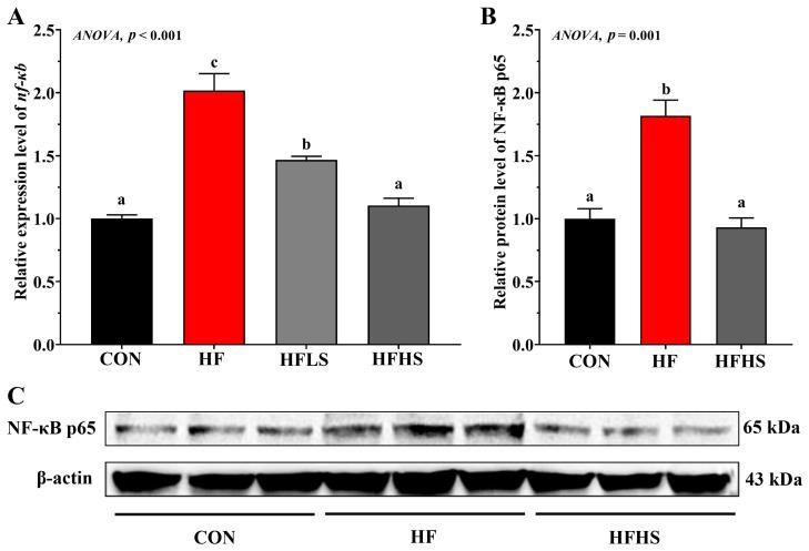 https://cdn.ncbi.nlm.nih.gov/pmc/blobs/ad57/10376639/6c9d5381d5f2/antioxidants-12-01366-g007.jpg