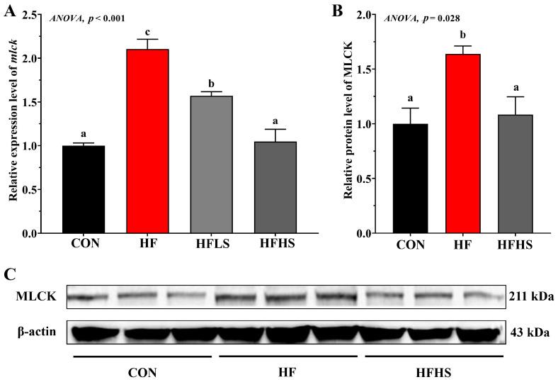 https://cdn.ncbi.nlm.nih.gov/pmc/blobs/ad57/10376639/7d9c7706e3a3/antioxidants-12-01366-g005.jpg
