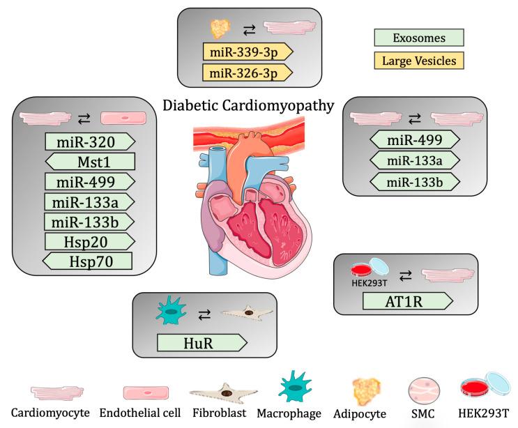 https://cdn.ncbi.nlm.nih.gov/pmc/blobs/ad57/10377624/09093f9dbd22/biomedicines-11-01907-g002.jpg