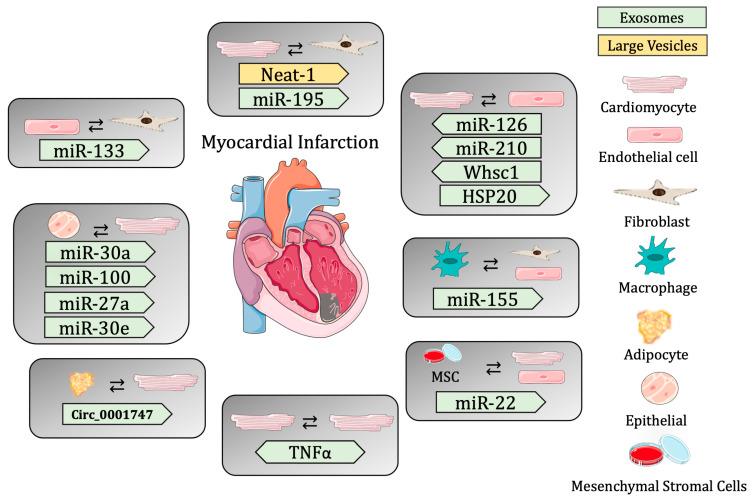 https://cdn.ncbi.nlm.nih.gov/pmc/blobs/ad57/10377624/a7d1954a7efe/biomedicines-11-01907-g001.jpg