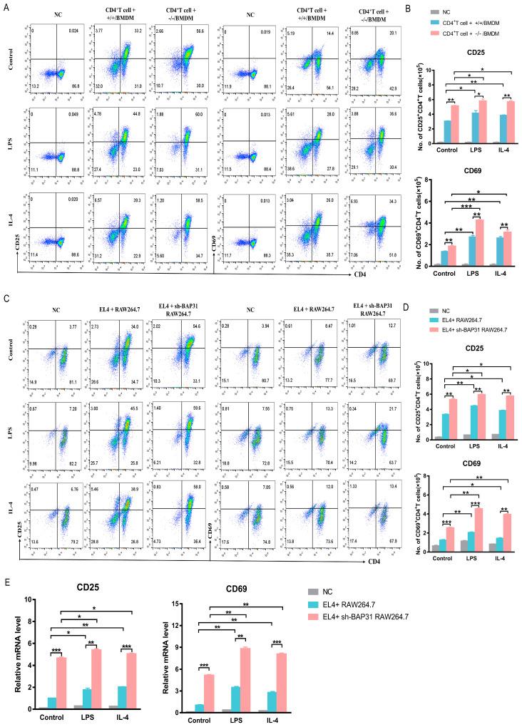 https://cdn.ncbi.nlm.nih.gov/pmc/blobs/ad57/10487781/768c189ed6a2/ijms-24-13476-g002.jpg