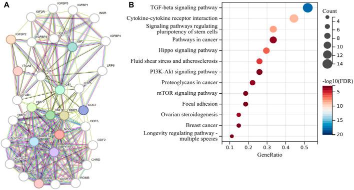 https://cdn.ncbi.nlm.nih.gov/pmc/blobs/ad58/9909968/5a0826a4fb01/fgene-13-1070630-g004.jpg