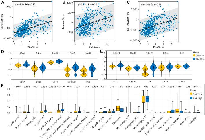 https://cdn.ncbi.nlm.nih.gov/pmc/blobs/ad58/9909968/82bfc044d322/fgene-13-1070630-g003.jpg