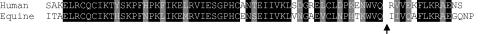 https://cdn.ncbi.nlm.nih.gov/pmc/blobs/ad59/2759039/15a4fd969cf3/gr7.jpg