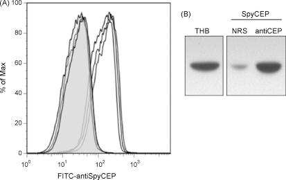 https://cdn.ncbi.nlm.nih.gov/pmc/blobs/ad59/2759039/fc1b9a32fb73/gr1.jpg