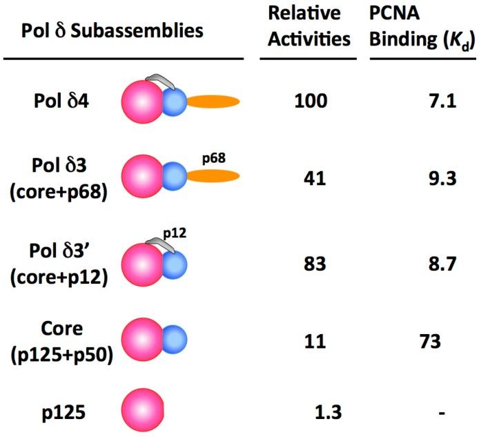 https://cdn.ncbi.nlm.nih.gov/pmc/blobs/ad5a/5541323/885177e8da0e/genes-08-00190-g001.jpg