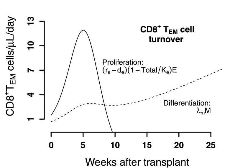 https://cdn.ncbi.nlm.nih.gov/pmc/blobs/ad5c/7803377/de4b0b3f3bd6/elife-57646-fig3-figsupp4.jpg