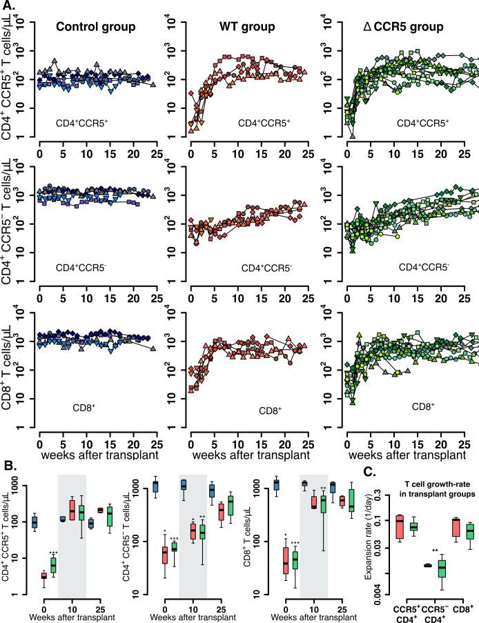 https://cdn.ncbi.nlm.nih.gov/pmc/blobs/ad5c/7803377/e0c9c6915f5d/elife-57646-fig2.jpg