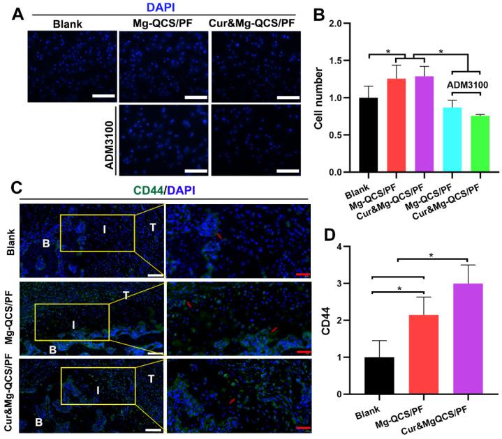 https://cdn.ncbi.nlm.nih.gov/pmc/blobs/ad5c/8058719/2e0934bc4751/thnov11p5911g008.jpg