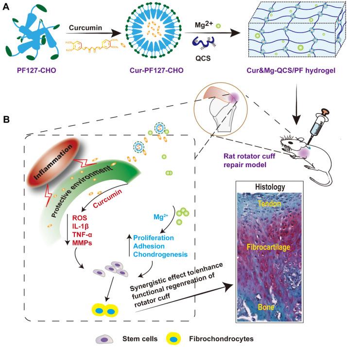 https://cdn.ncbi.nlm.nih.gov/pmc/blobs/ad5c/8058719/42d3e73ecf5a/thnov11p5911g001.jpg