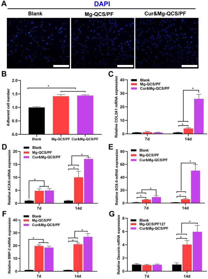 https://cdn.ncbi.nlm.nih.gov/pmc/blobs/ad5c/8058719/92bb2b7283d0/thnov11p5911g007.jpg