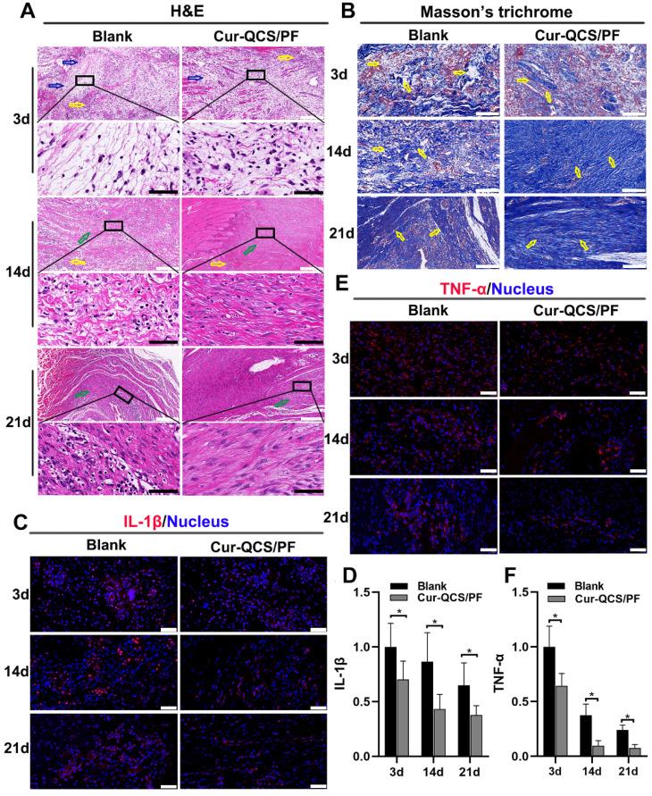 https://cdn.ncbi.nlm.nih.gov/pmc/blobs/ad5c/8058719/da1a5f535a98/thnov11p5911g005.jpg