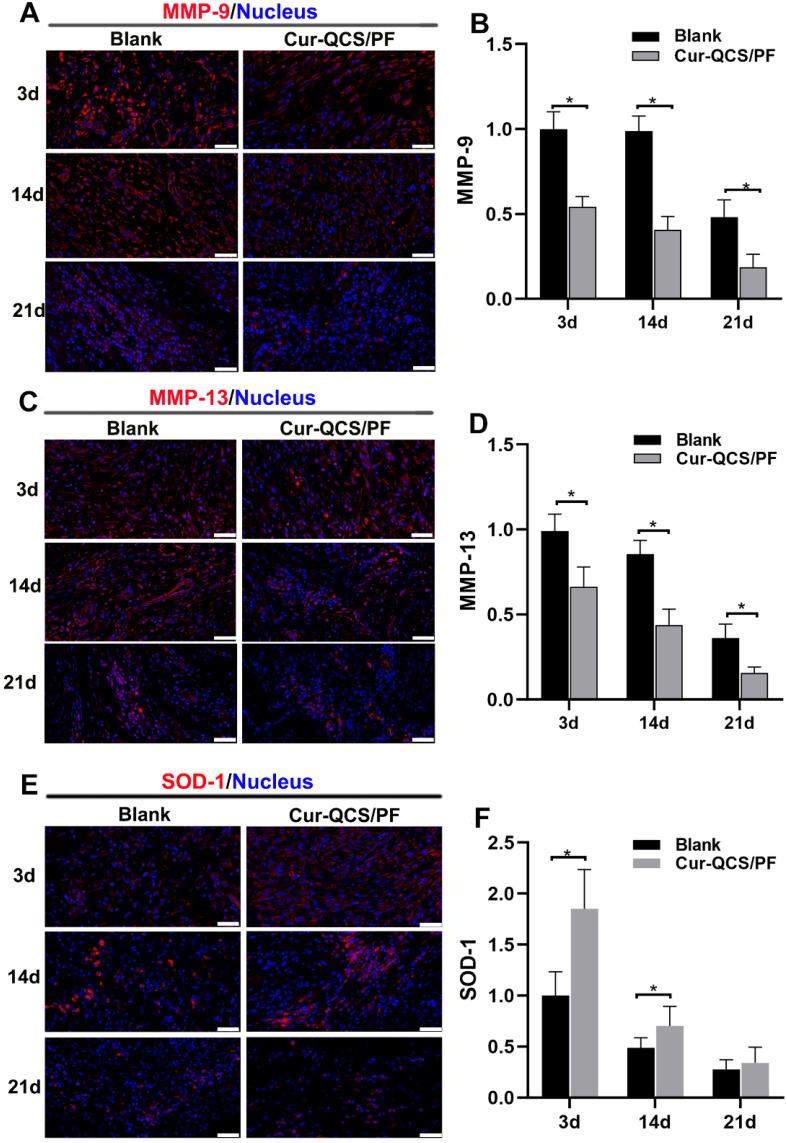 https://cdn.ncbi.nlm.nih.gov/pmc/blobs/ad5c/8058719/e26440a27700/thnov11p5911g006.jpg