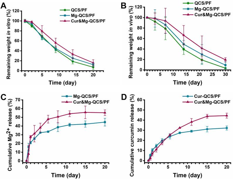 https://cdn.ncbi.nlm.nih.gov/pmc/blobs/ad5c/8058719/fe406bb059a0/thnov11p5911g003.jpg