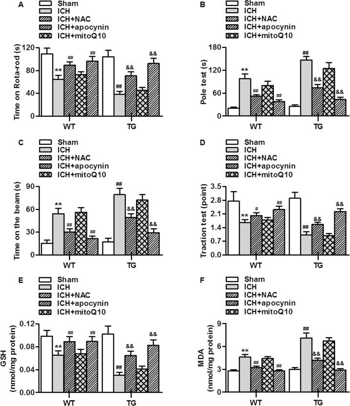 https://cdn.ncbi.nlm.nih.gov/pmc/blobs/ad61/6841714/2da22745d3b3/41598_2019_52494_Fig5_HTML.jpg