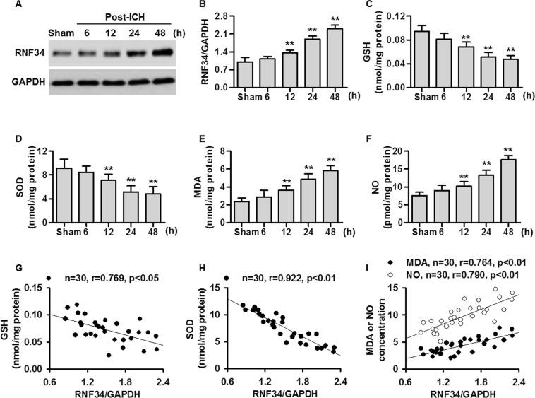 https://cdn.ncbi.nlm.nih.gov/pmc/blobs/ad61/6841714/b467264514ed/41598_2019_52494_Fig3_HTML.jpg
