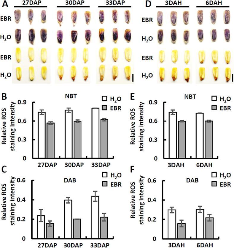 https://cdn.ncbi.nlm.nih.gov/pmc/blobs/ad63/10423688/88840a8a4efe/gr2.jpg