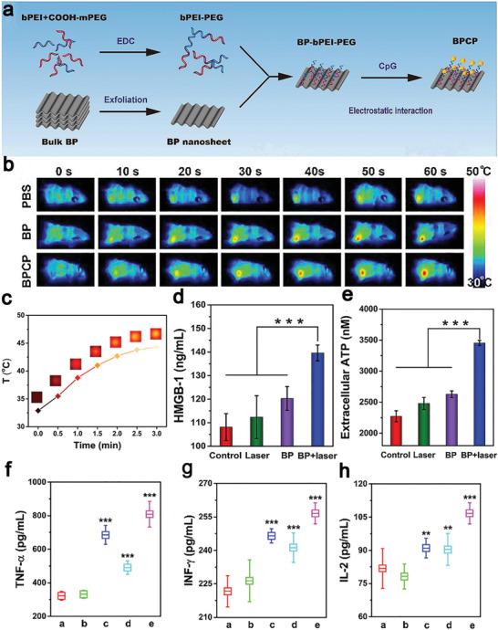 https://cdn.ncbi.nlm.nih.gov/pmc/blobs/ad64/9353475/2576f1215b36/ADVS-9-2201734-g002.jpg