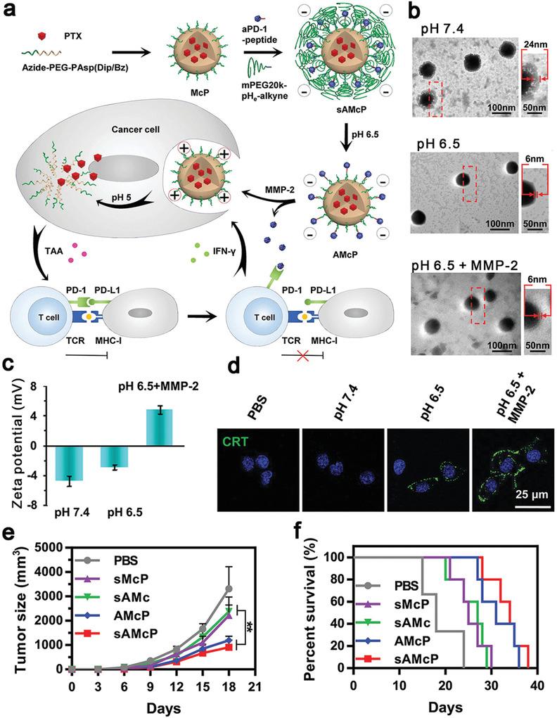 https://cdn.ncbi.nlm.nih.gov/pmc/blobs/ad64/9353475/3dfa1b7cfa1f/ADVS-9-2201734-g011.jpg