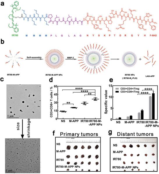 https://cdn.ncbi.nlm.nih.gov/pmc/blobs/ad64/9353475/50566b5d246a/ADVS-9-2201734-g006.jpg
