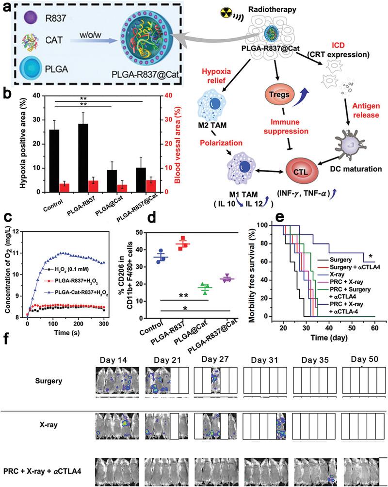https://cdn.ncbi.nlm.nih.gov/pmc/blobs/ad64/9353475/f2670701fb86/ADVS-9-2201734-g005.jpg