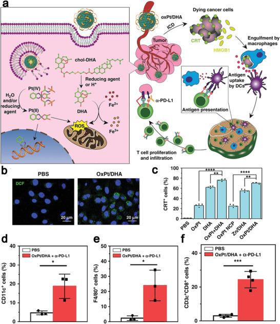 https://cdn.ncbi.nlm.nih.gov/pmc/blobs/ad64/9353475/f588e406b056/ADVS-9-2201734-g016.jpg