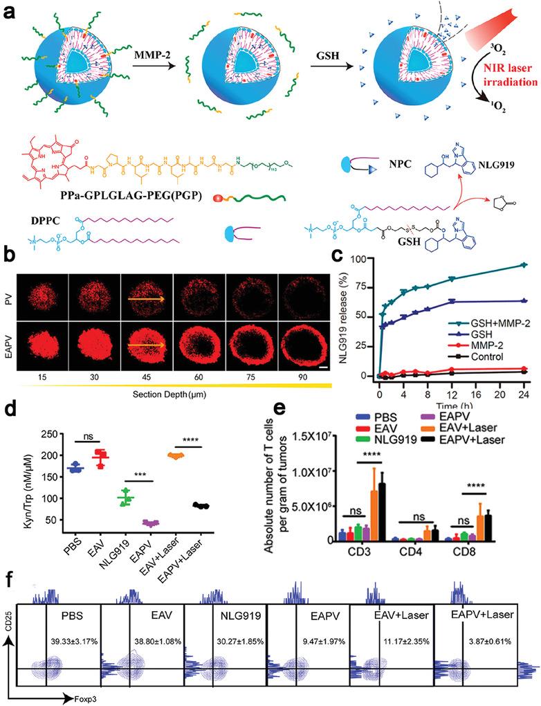 https://cdn.ncbi.nlm.nih.gov/pmc/blobs/ad64/9353475/f78d9def1562/ADVS-9-2201734-g003.jpg