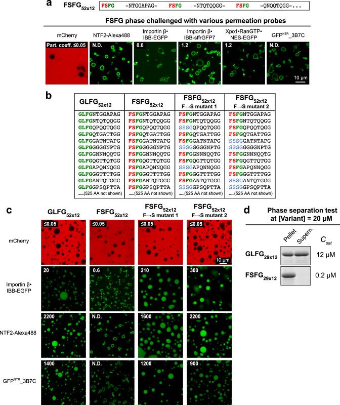 https://cdn.ncbi.nlm.nih.gov/pmc/blobs/ad65/9918544/b9659e7e9916/41467_2023_36331_Fig9_HTML.jpg