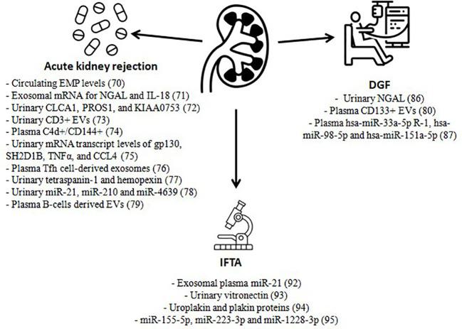https://cdn.ncbi.nlm.nih.gov/pmc/blobs/ad66/10469977/dc2eb50405d3/fimmu-14-1154650-g001.jpg