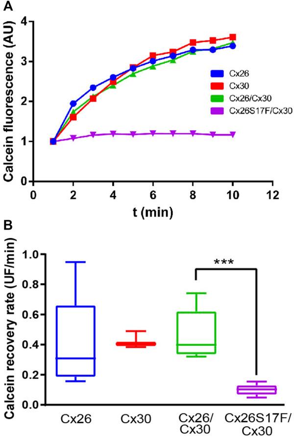https://cdn.ncbi.nlm.nih.gov/pmc/blobs/ad67/9868548/2843d0299de3/fcell-10-1071202-g004.jpg