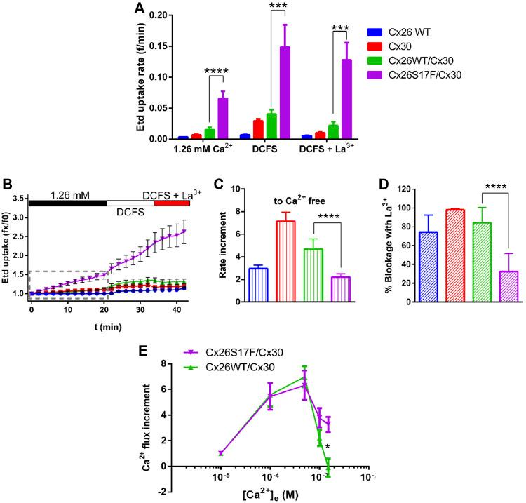 https://cdn.ncbi.nlm.nih.gov/pmc/blobs/ad67/9868548/30e98037eed8/fcell-10-1071202-g006.jpg