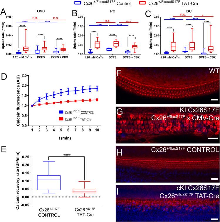 https://cdn.ncbi.nlm.nih.gov/pmc/blobs/ad67/9868548/4e74a57d17f0/fcell-10-1071202-g002.jpg