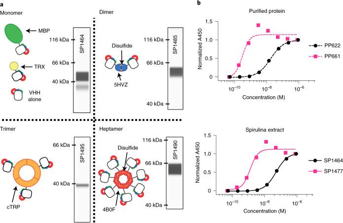 https://cdn.ncbi.nlm.nih.gov/pmc/blobs/ad68/9200632/83512249988b/41587_2022_1249_Fig2_HTML.jpg
