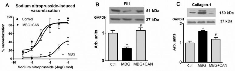 https://cdn.ncbi.nlm.nih.gov/pmc/blobs/ad6b/8954517/08cf6e90ab1c/ijms-23-03336-g006.jpg