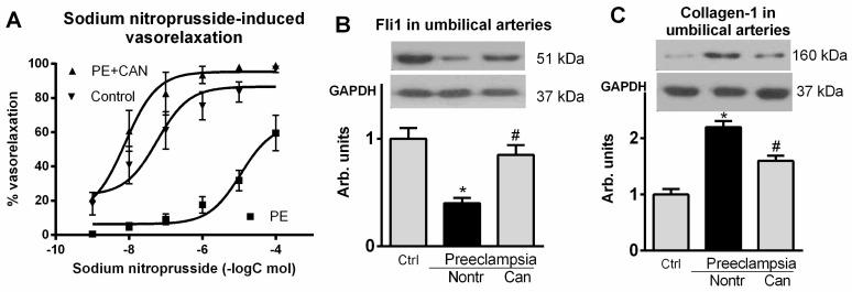 https://cdn.ncbi.nlm.nih.gov/pmc/blobs/ad6b/8954517/61963706f9a5/ijms-23-03336-g004.jpg