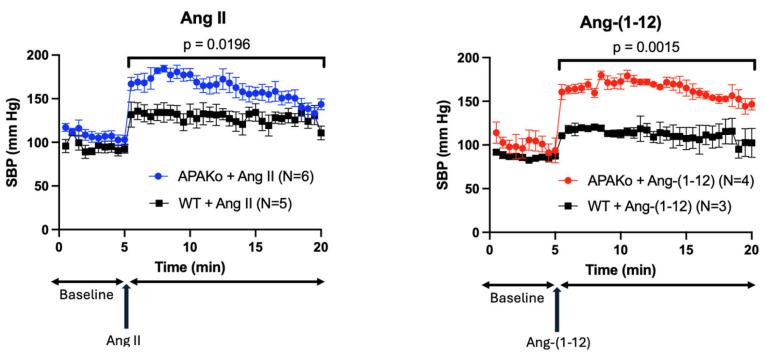 https://cdn.ncbi.nlm.nih.gov/pmc/blobs/ad6d/12296148/57497827aff6/ijms-26-06990-g005.jpg