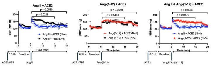 https://cdn.ncbi.nlm.nih.gov/pmc/blobs/ad6d/12296148/cd30d117d9ed/ijms-26-06990-g007.jpg