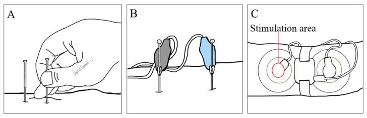 https://cdn.ncbi.nlm.nih.gov/pmc/blobs/ad6f/11275046/5609721ab398/biomolecules-14-00760-g003.jpg