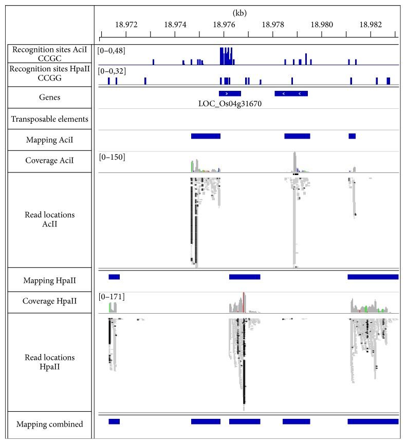 https://cdn.ncbi.nlm.nih.gov/pmc/blobs/ad70/4573423/71ac3abdf5a9/BMRI2015-570568.004.jpg
