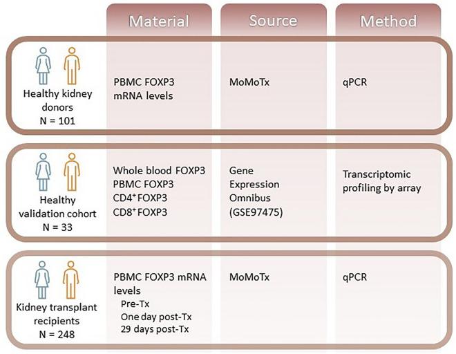 https://cdn.ncbi.nlm.nih.gov/pmc/blobs/ad71/11130272/db297225f86f/41598_2024_62149_Fig1_HTML.jpg