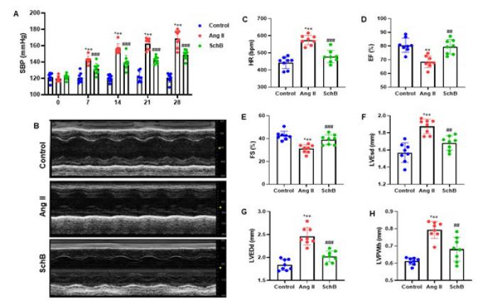 https://cdn.ncbi.nlm.nih.gov/pmc/blobs/ad71/12279727/c13e5a66dded/IJBMS-28-946-g001.jpg