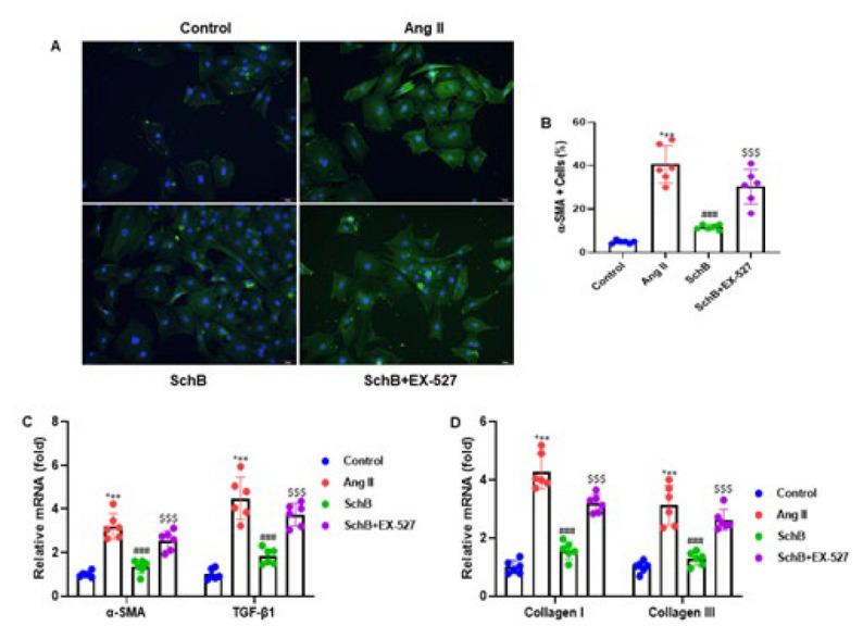 https://cdn.ncbi.nlm.nih.gov/pmc/blobs/ad71/12279727/cef213e2164e/IJBMS-28-946-g005.jpg