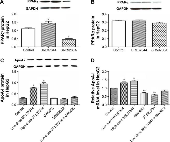 https://cdn.ncbi.nlm.nih.gov/pmc/blobs/ad71/5344441/2b03520b076d/dddt-11-617Fig4.jpg