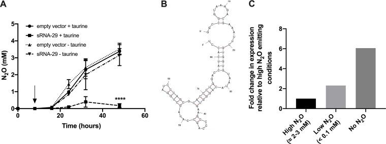 https://cdn.ncbi.nlm.nih.gov/pmc/blobs/ad71/6686037/812c65343d66/mBio.01165-19-f0001.jpg