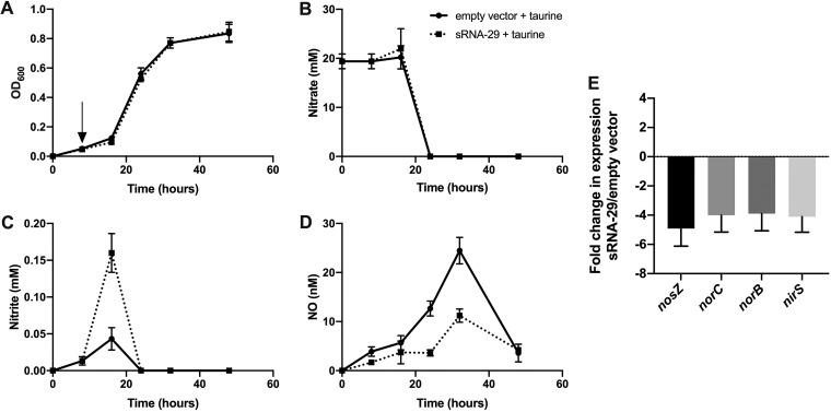 https://cdn.ncbi.nlm.nih.gov/pmc/blobs/ad71/6686037/c67c1f84940c/mBio.01165-19-f0002.jpg