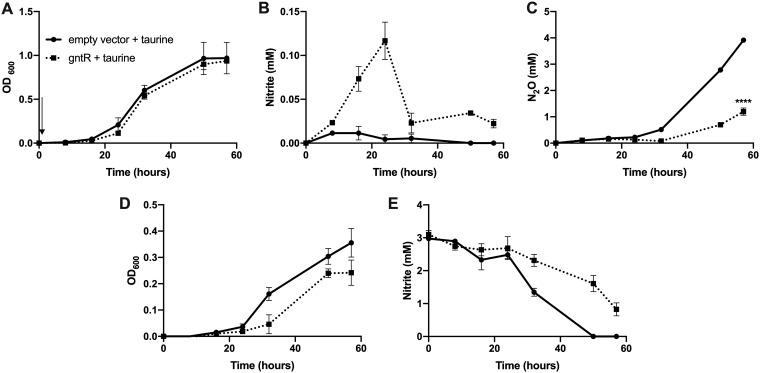 https://cdn.ncbi.nlm.nih.gov/pmc/blobs/ad71/6686037/c6c169e6dbc9/mBio.01165-19-f0006.jpg