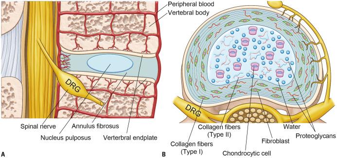 https://cdn.ncbi.nlm.nih.gov/pmc/blobs/ad71/8860939/11f38c68b6c5/ymj-63-199-g001.jpg